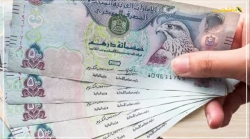 تطورات اليوم.. سعر الدرهم الإماراتي مقابل الجنيه المصري اليوم الجمعة 5-9-2025 | كشف حساب جديد للعملة